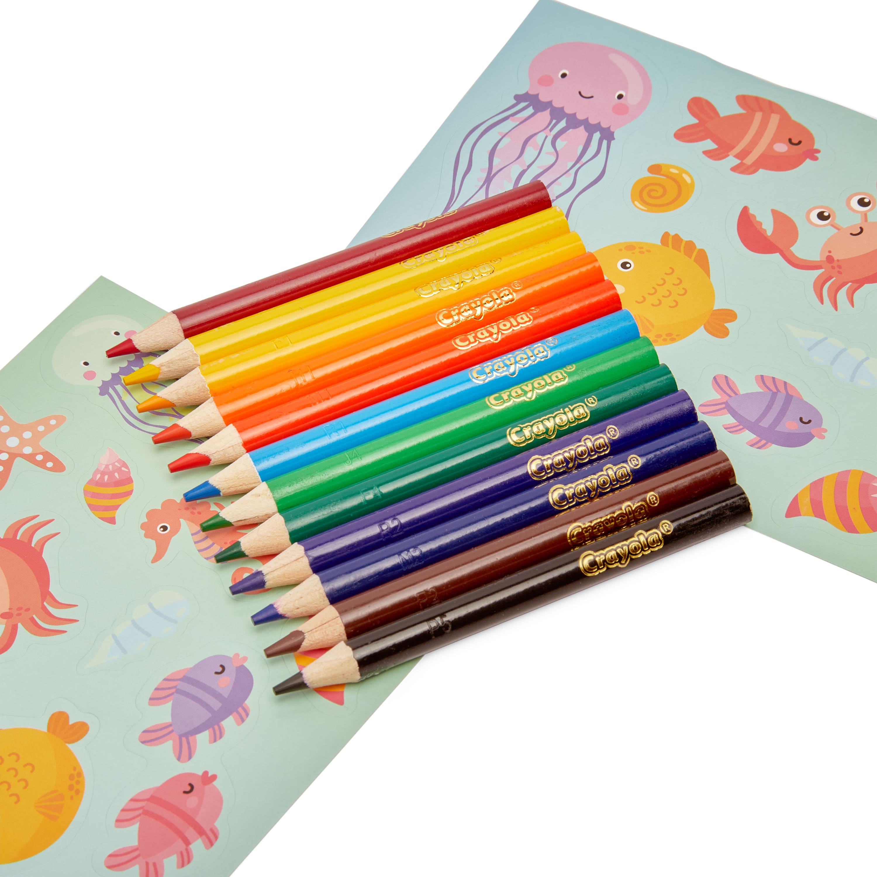 Crayola Activity Case