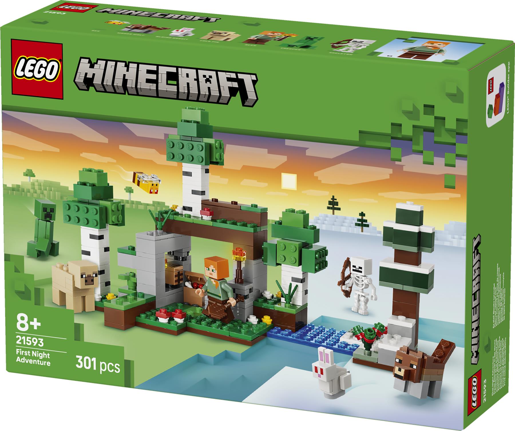 LEGO Minecraft First Night Adventure 21593