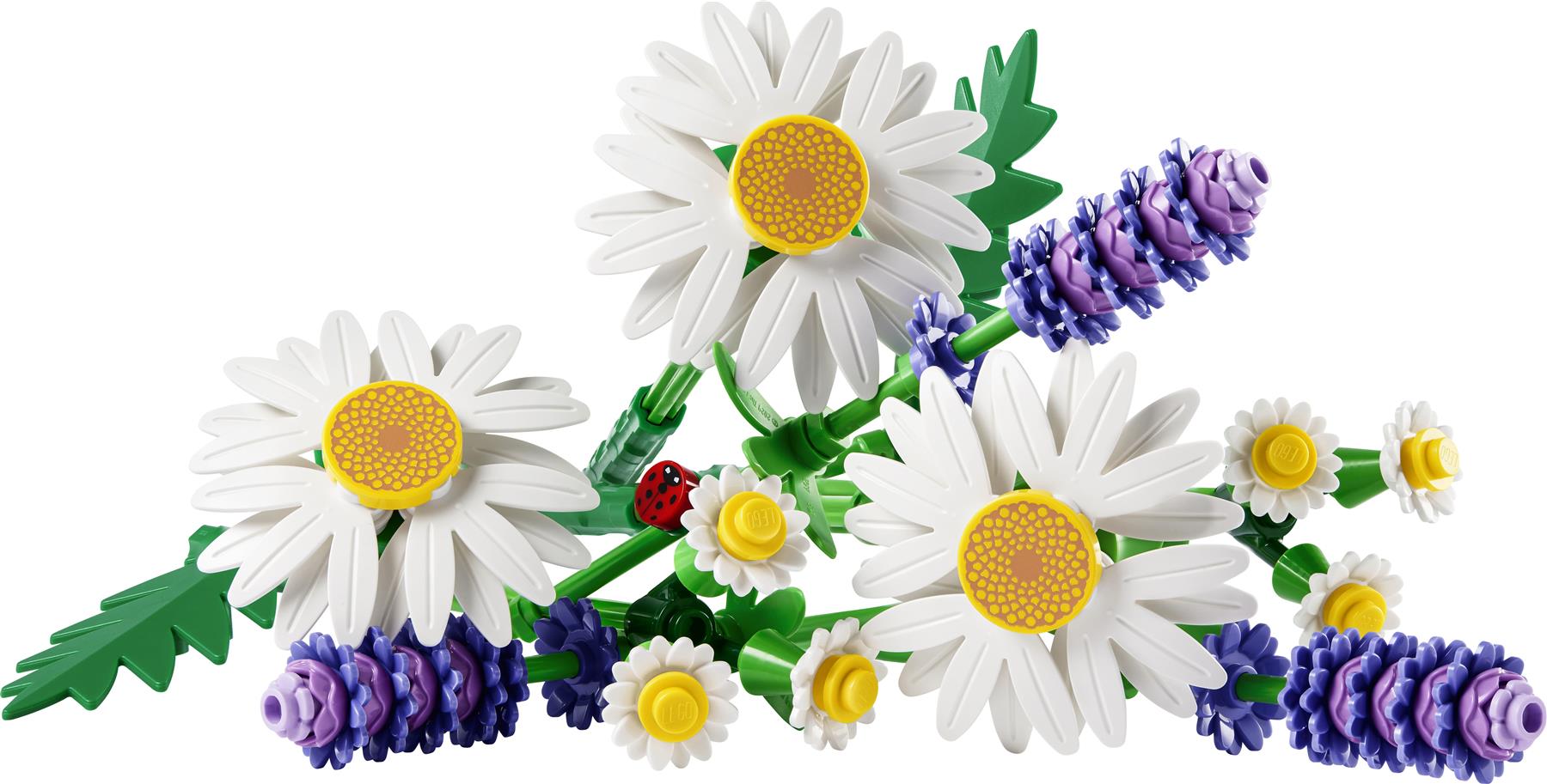 LEGO Botanicals Daisies 11508