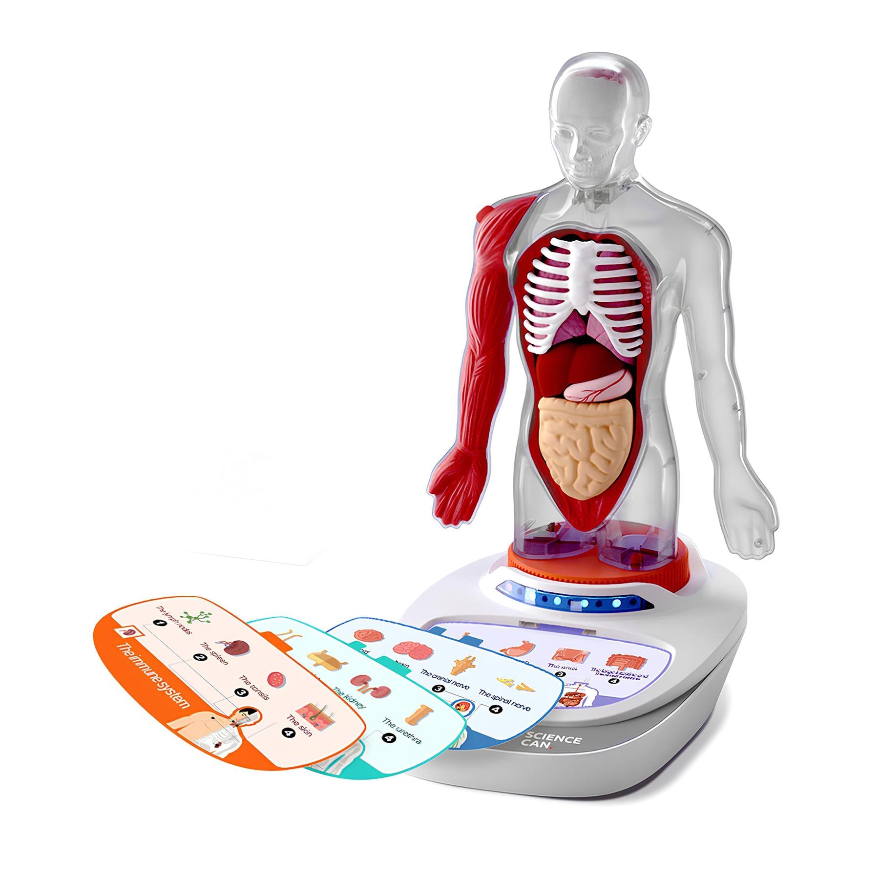 Science Can Body Voice Pedia