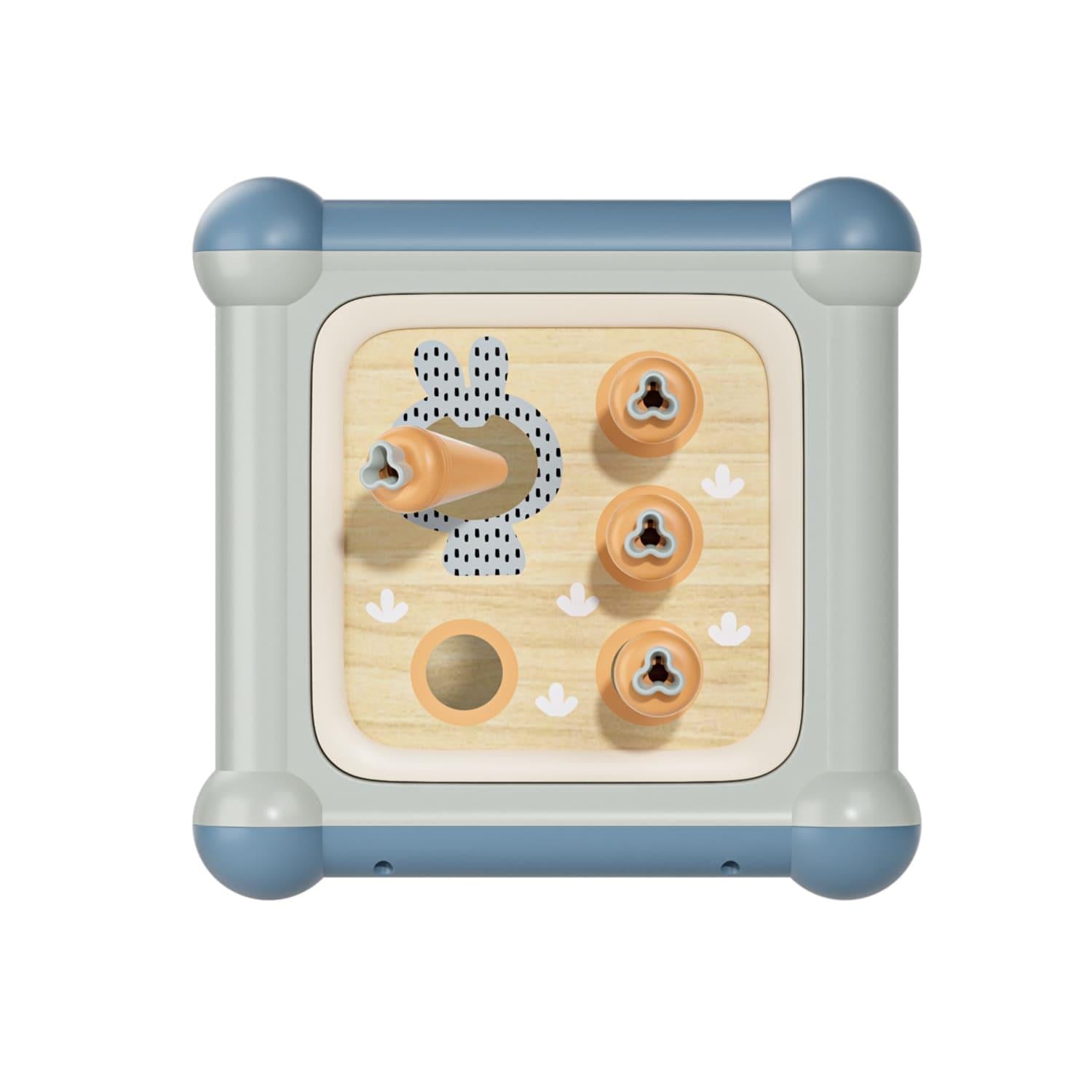 Topbright Wooden Master 10in1 Activity Cube