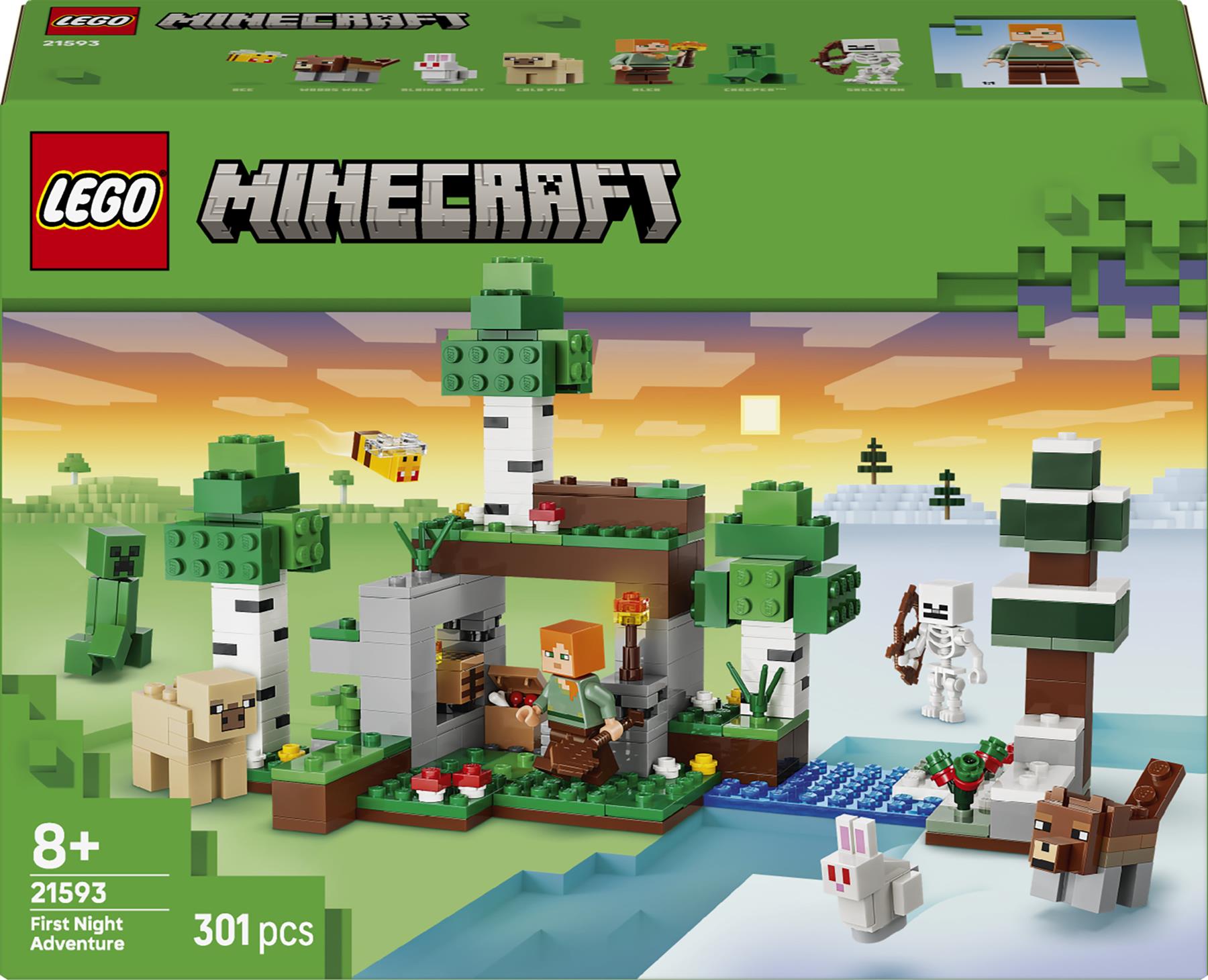 LEGO Minecraft First Night Adventure 21593