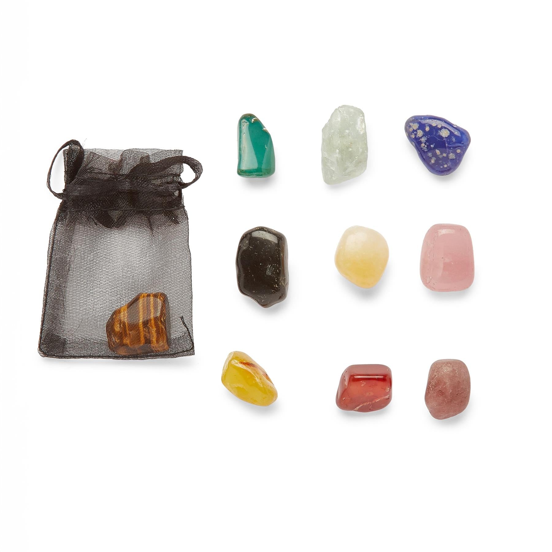 Discovery 10-piece Gem Dig Kit with Accessories