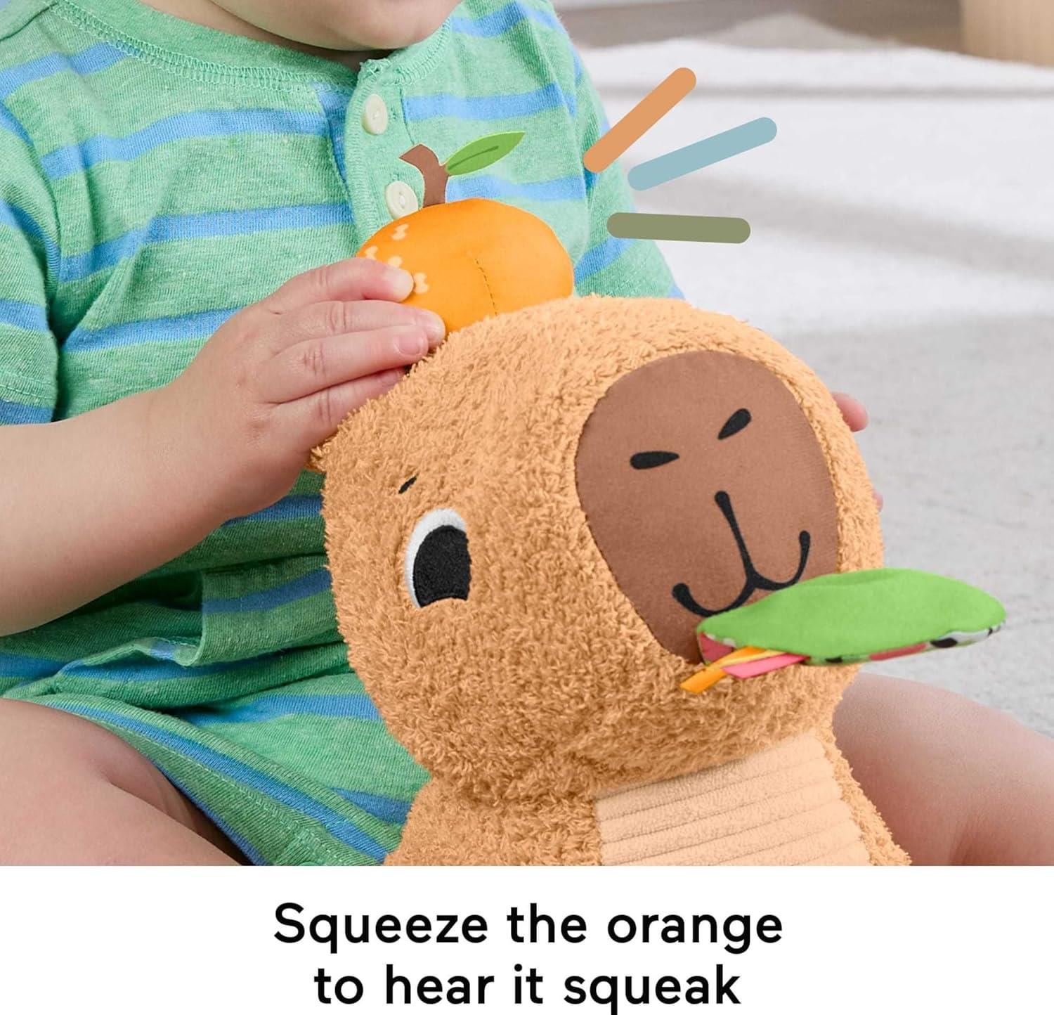 Fisher-Price Snuggly Snacky Capybara Plush Baby Sensory Toy