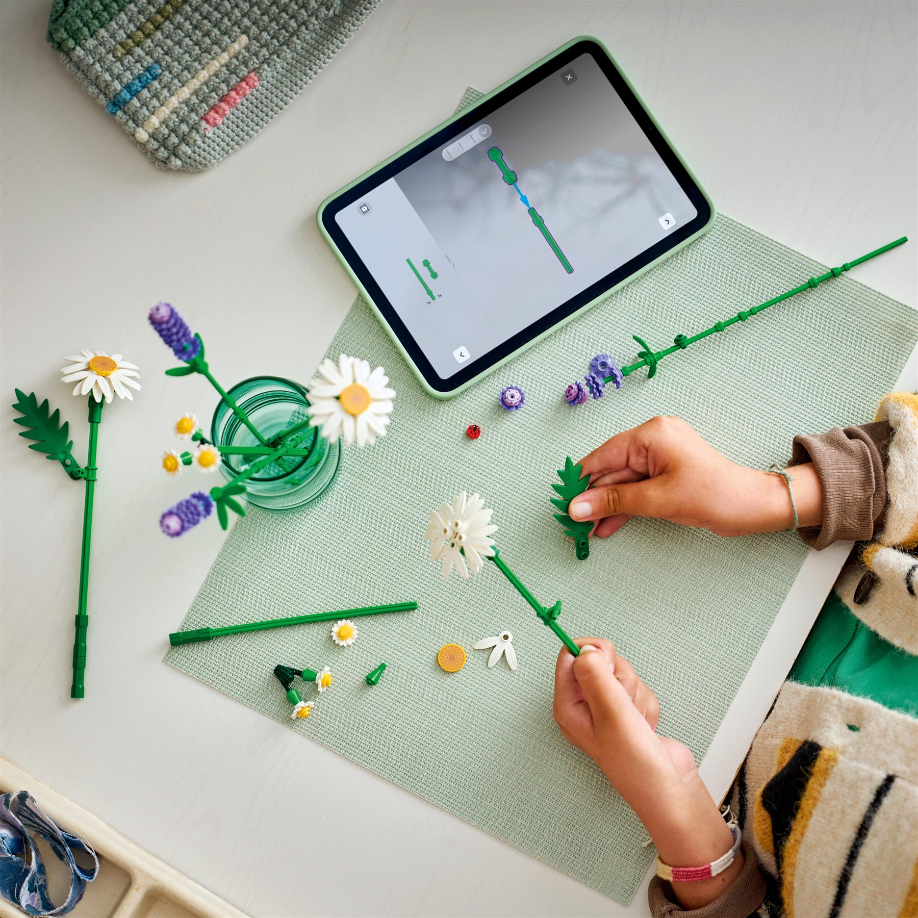 LEGO Botanicals Daisies 11508