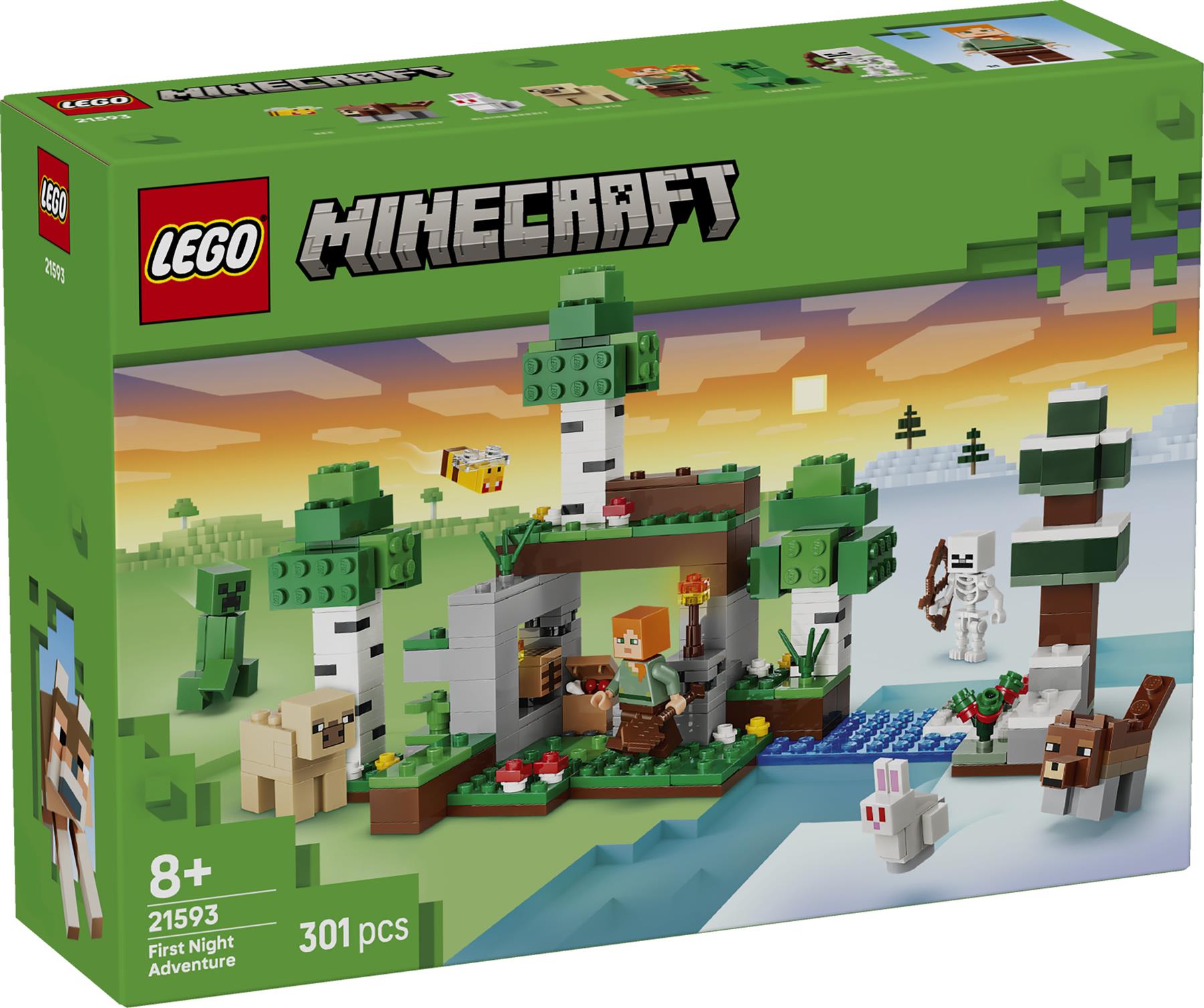 LEGO Minecraft First Night Adventure 21593
