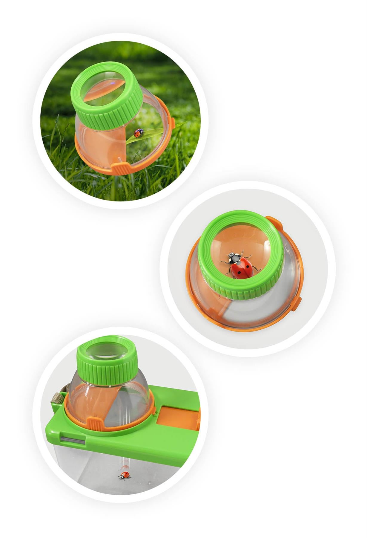 Buki France Terrarium