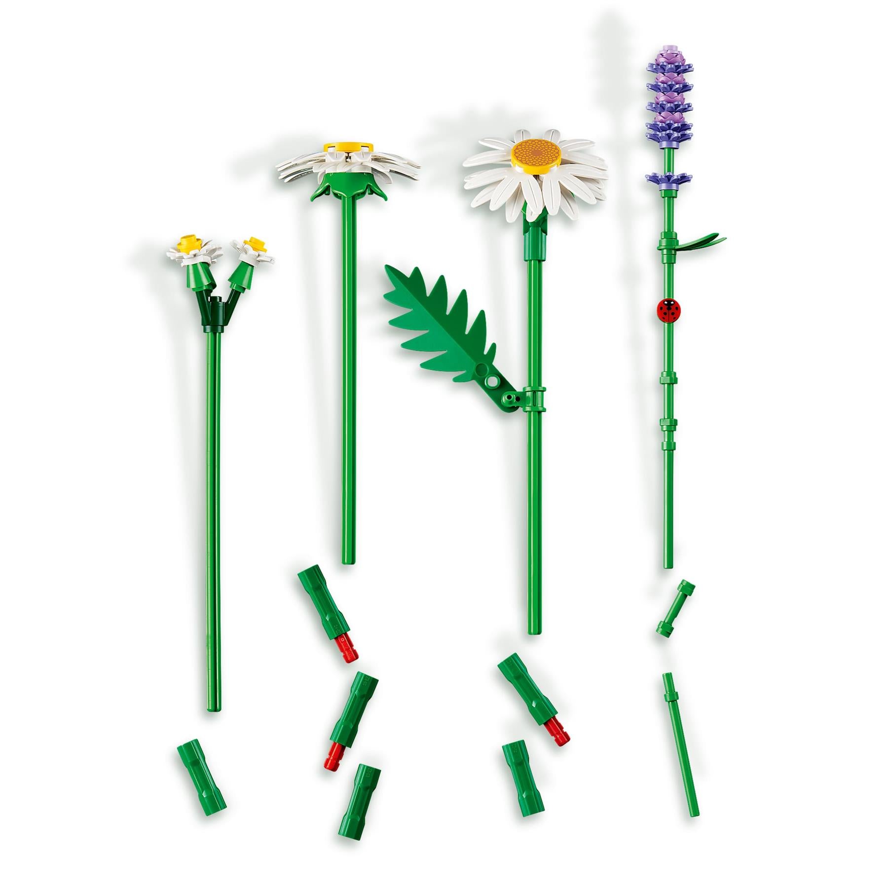 LEGO Botanicals Daisies 11508