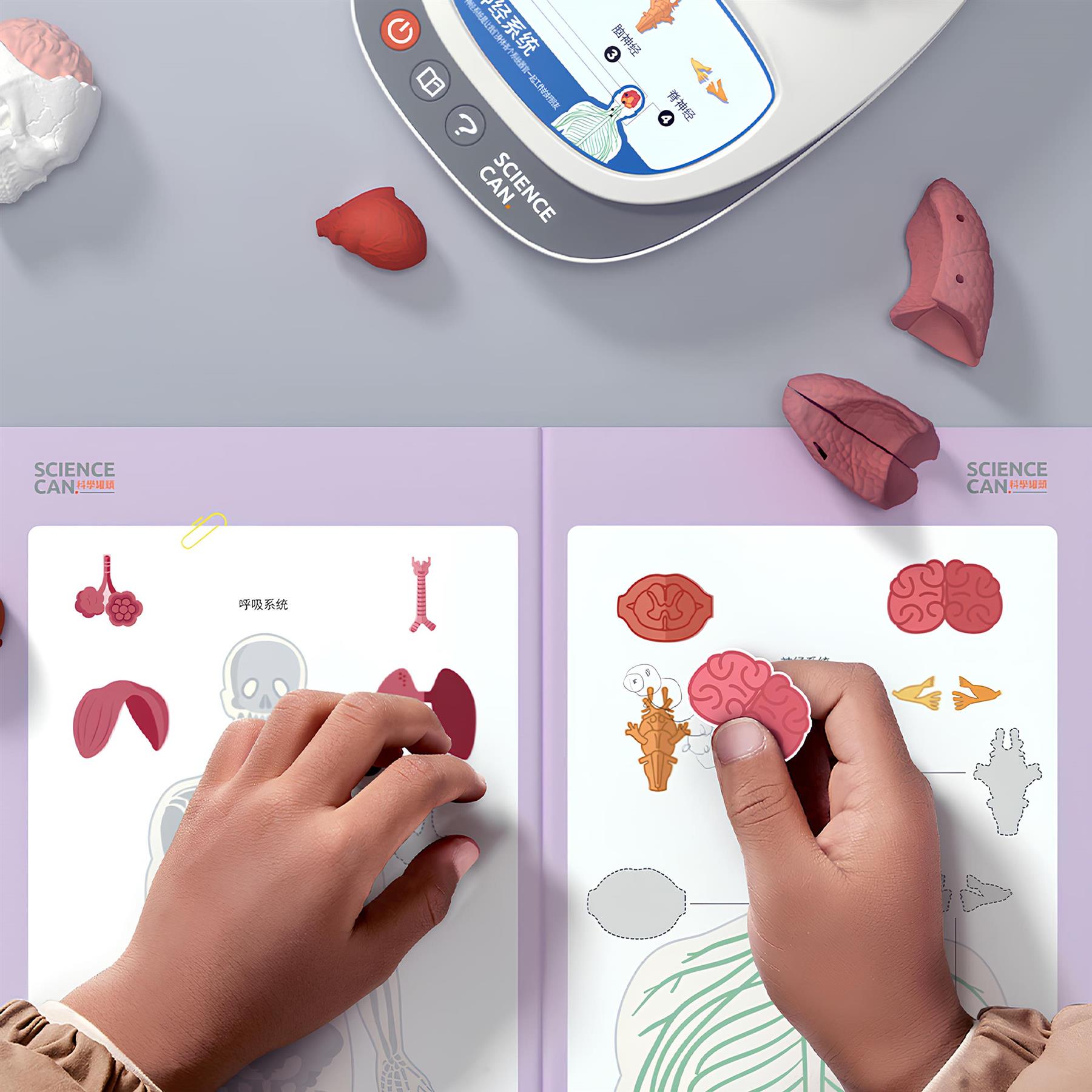 Science Can Body Voice Pedia