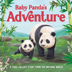 Baby Panda's Adventure Mini Story Book