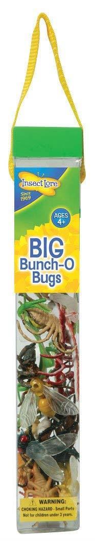 Insect Lore Big Bunch O’ Bugs