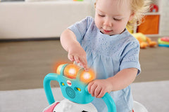 Fisher Price Bounce & Spin Puppy