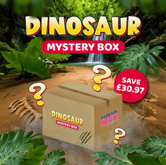 The Dinosaur Mystery Box