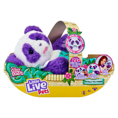 Little Live Pets Petals the Cozy Dozy Panda