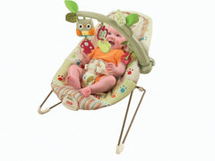 Fisher Price Woodsie Bouncer