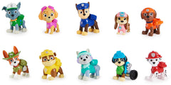 PAW Patrol All Paws Gift Set 10 Figures