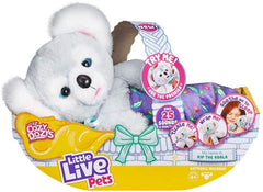 Little Live Pets Cozy Dozys Koala