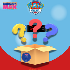 PAW Patrol Mystery Box