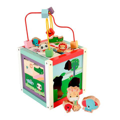 Fisher-Price Wooden Activity Cube