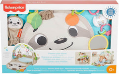 Fisher-Price Ready to Hang Sensory Sloth Gym