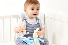 Peter Rabbit Rattle and Comforter Gift Set