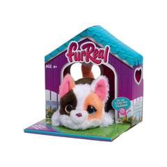 FurReal My Mini's Kitty