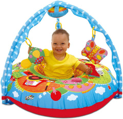 Galt Farm Playnest and Gym
