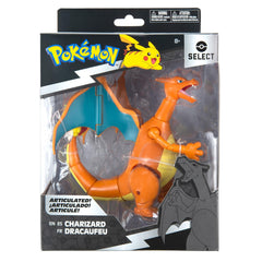 Pokémon Charizard 6