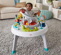 Fisher Price 2-in-1 Sit-to-Stand Activity Centre